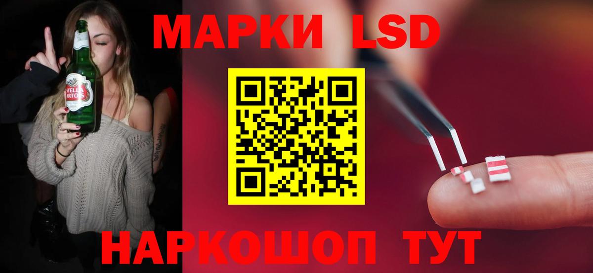 Галлюциногенные грибы Саратов