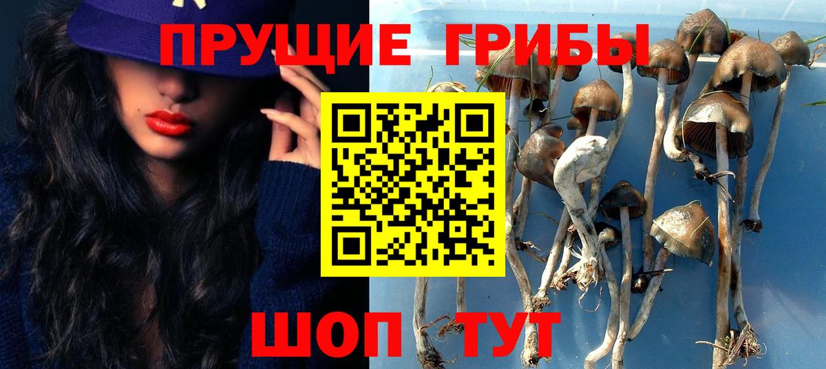 Галлюциногенные грибы Magic Shrooms  Галлюциногенные грибы Magic Shrooms  Вход с VPN  Саратов 